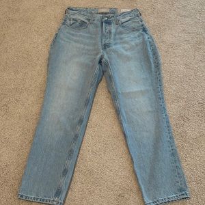 NWT Everlane light wash Curvy 90s Cheeky Straight Jean size 29
